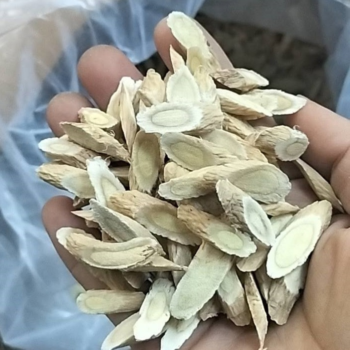 Bổ trung ích khí thang