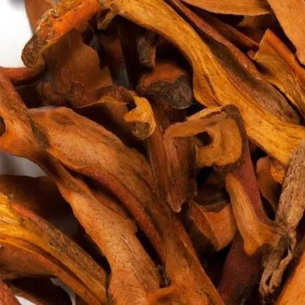 Cốt toái bổ đỏ nâu - tắc kè đá