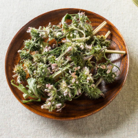 Ích mẫu thảo - cao ích mẫu