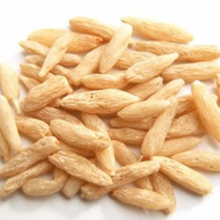 Mạch môn bắc - nam