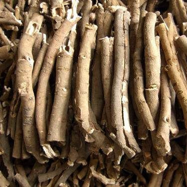 Mẫu đơn bì - Đan bì